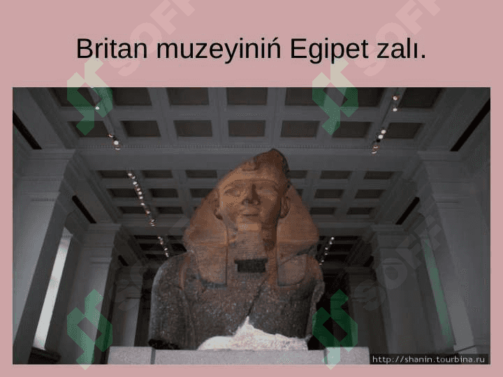 Muzeyge  sayaxat 6