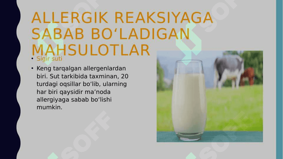 Ovqat allergiyasi. Gipoalergen parhezlar 8
