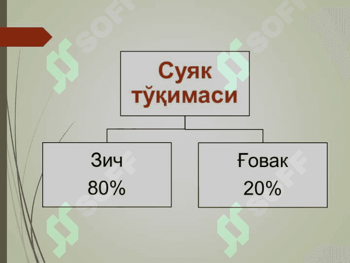 Таянч-ҳаракат аппаратининг ёшга оид хусусиятлари ва гигиенаси 7