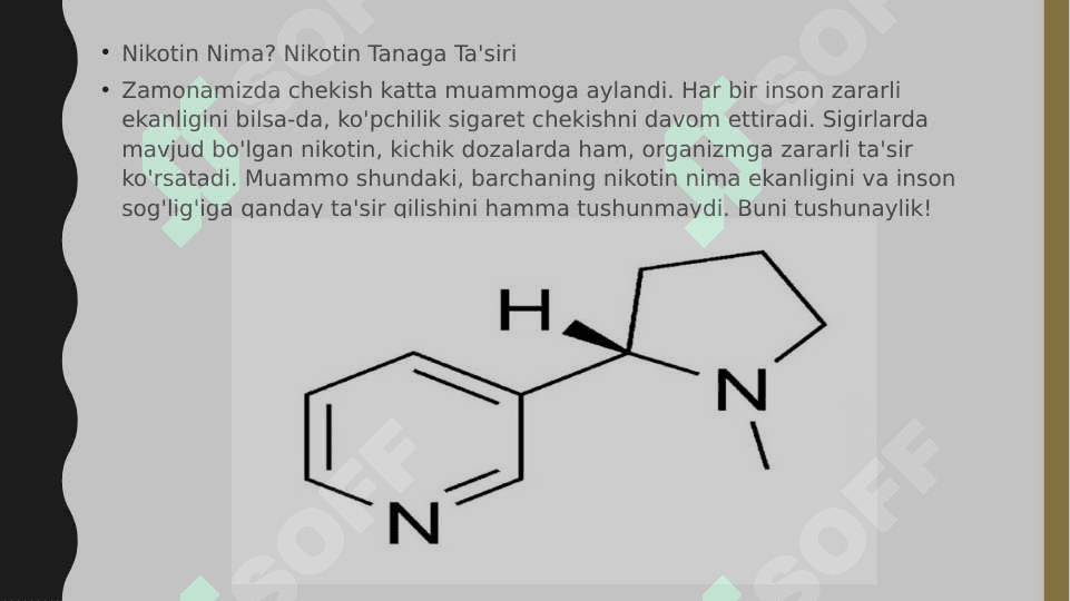 Slayd Nikotinizm 2