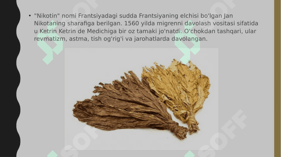 Slayd Nikotinizm 4
