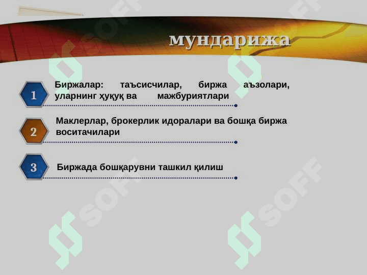 Биржалар  бошқарув органлари ва функционал воситачилар 2