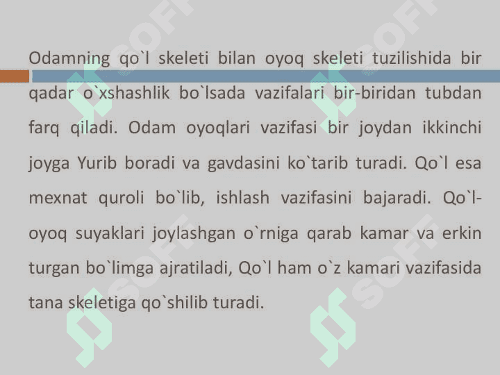 Qo'l va oyoq suyaklari 2