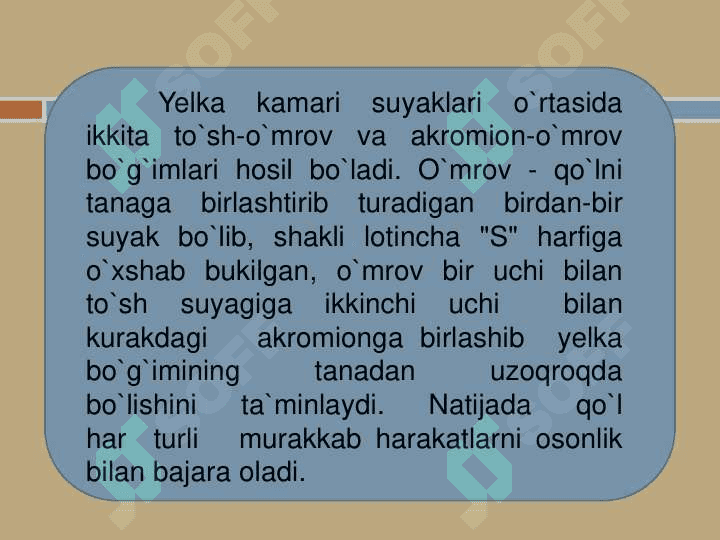 Qo'l va oyoq suyaklari 4