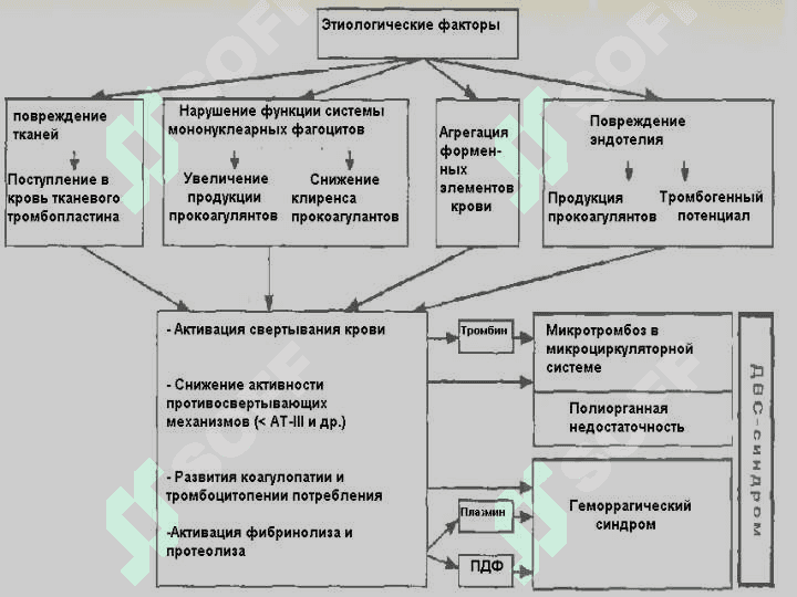 Геморрагический синдром 6