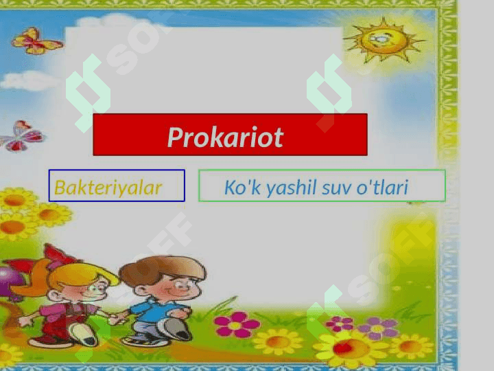 Prokariot hujayra 6