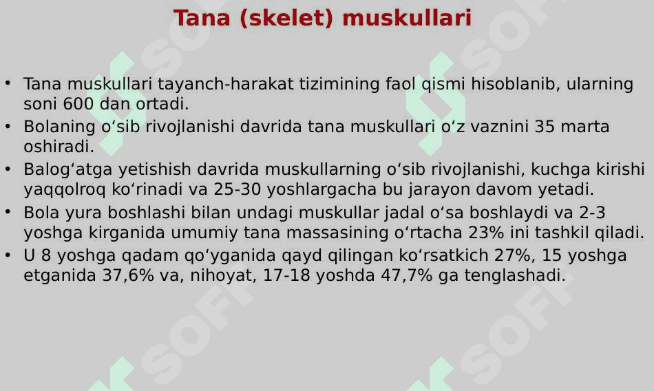 Muskul tizimining yosh xususiyatlari 4