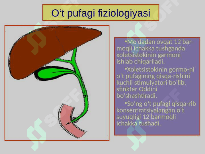 Surunkali xoletsistit. Klinikasi, diagnostikasi, davolash usullari 6