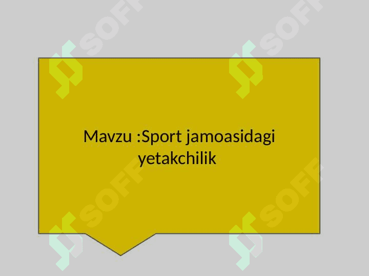 Sport jamoasidagi yetakchilik 3