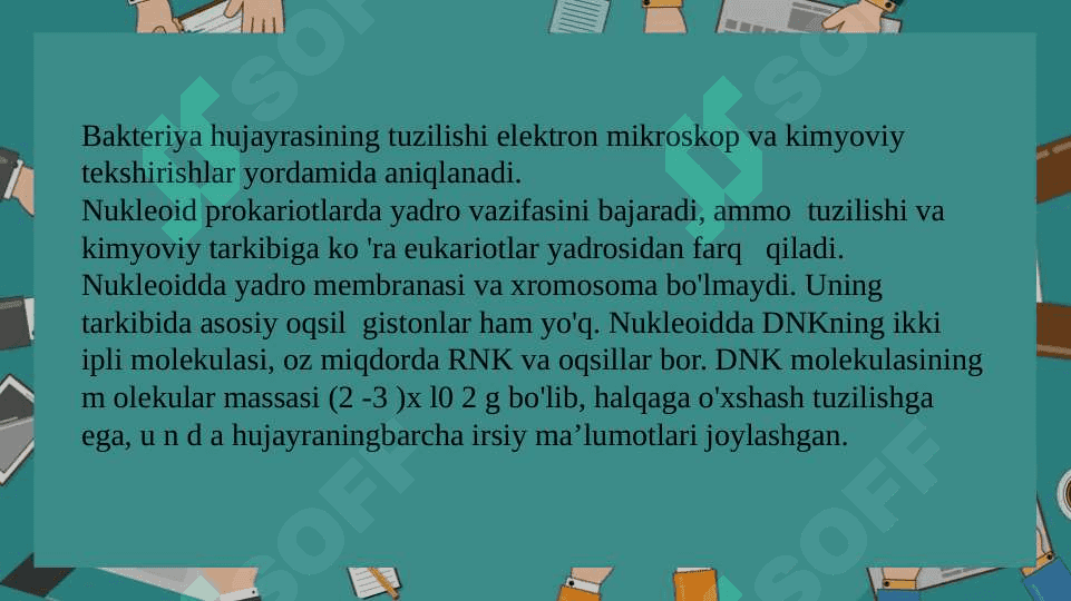 Bakteriyalarning ultrastrukturasi 6
