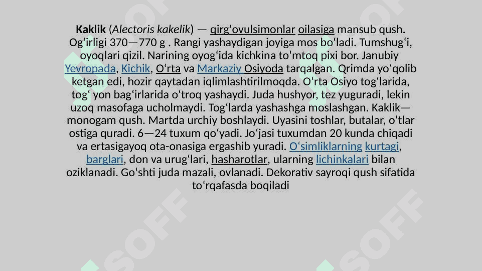 Kaklik 2