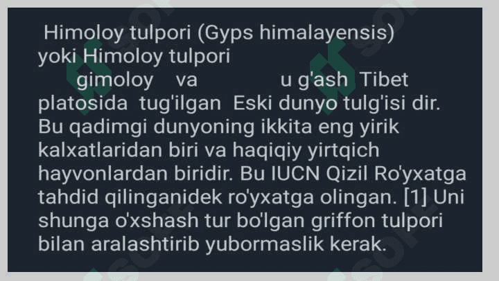 yirtqich qushlar 4