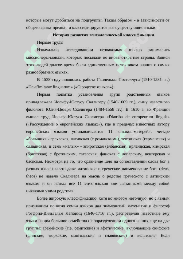 Основные семьи языков 3