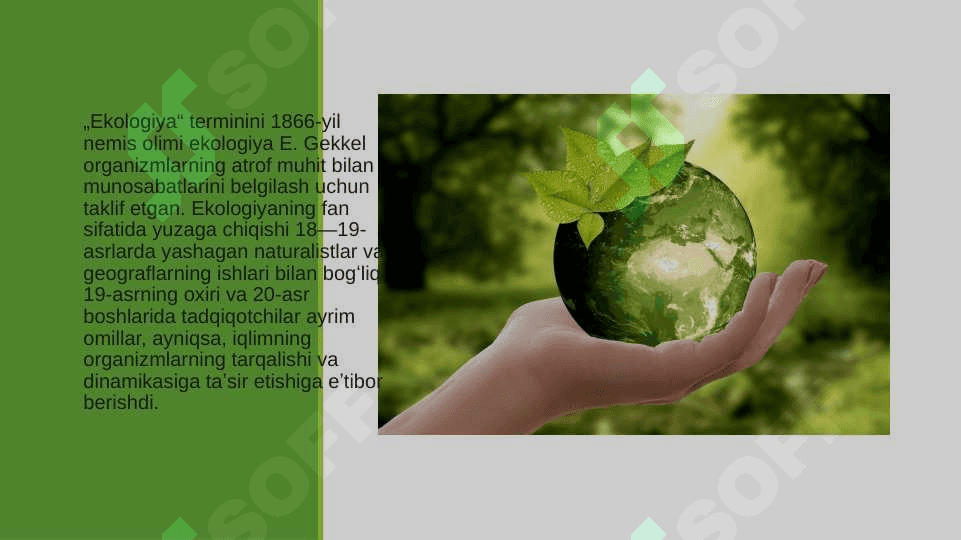 HOZIRGI ZAMON EKOLOGIK MUAMMOLARI TAHLILI. ULARNI BARTARAF ETISH YO`LLARI 4