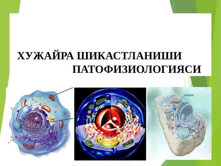 HUJAYRA SHIKASTLANISHI PATOFIZIOLOGIYASI