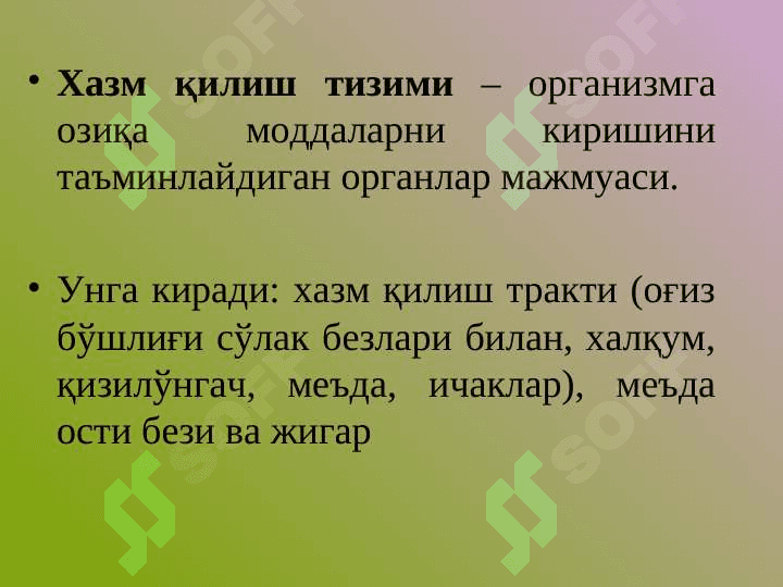 OG`IZ BO`SHLIG`IDA VA ME`DADA OVQAT HAZM QILISH 2
