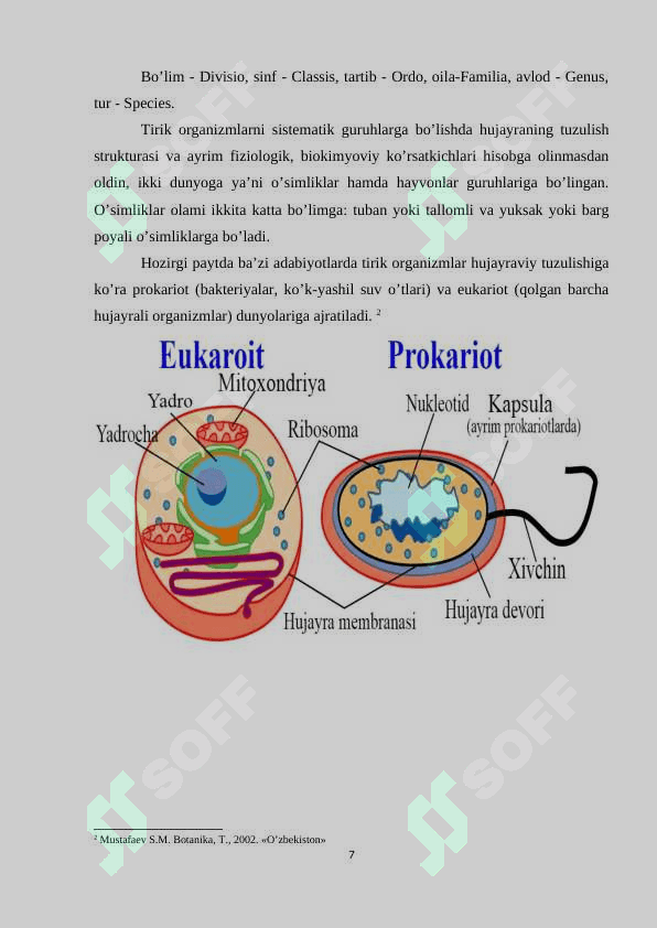 O’simliklarni hayotiy shakllari KURS ISHI 7