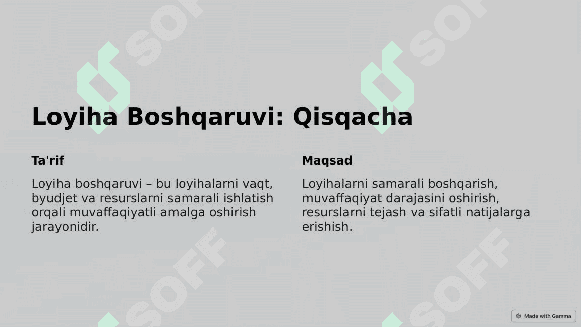 Loyiha boshqaruvi dasturlari 2