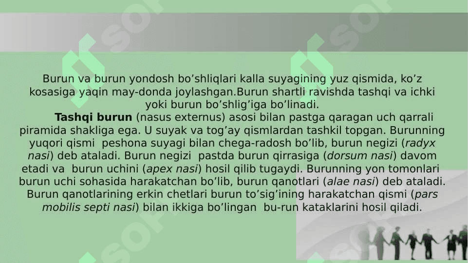 Burun yondosh bo'shliqlarining klinik anatomiyasi 2