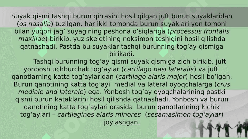 Burun yondosh bo'shliqlarining klinik anatomiyasi 4