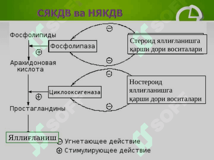 Steroid va nosteroid yallig’lanishga qarshi dori vositalar. 3