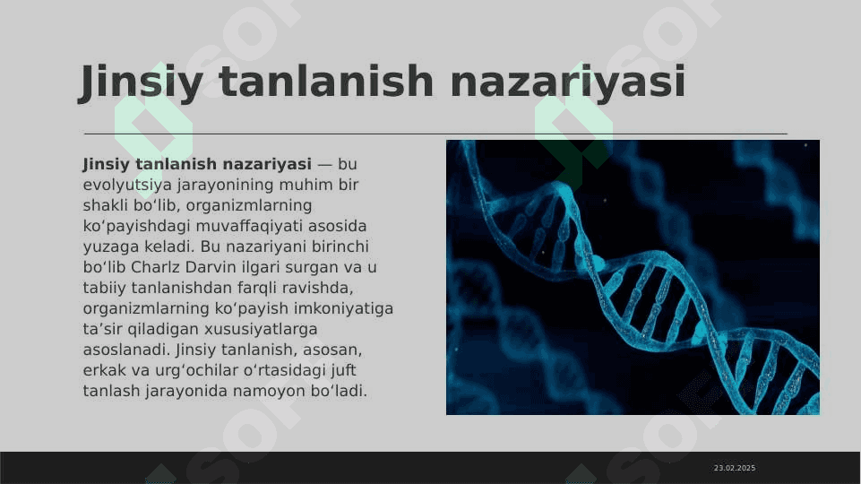 Tabiiy va jinsiy tanlanish nazariyasi 6