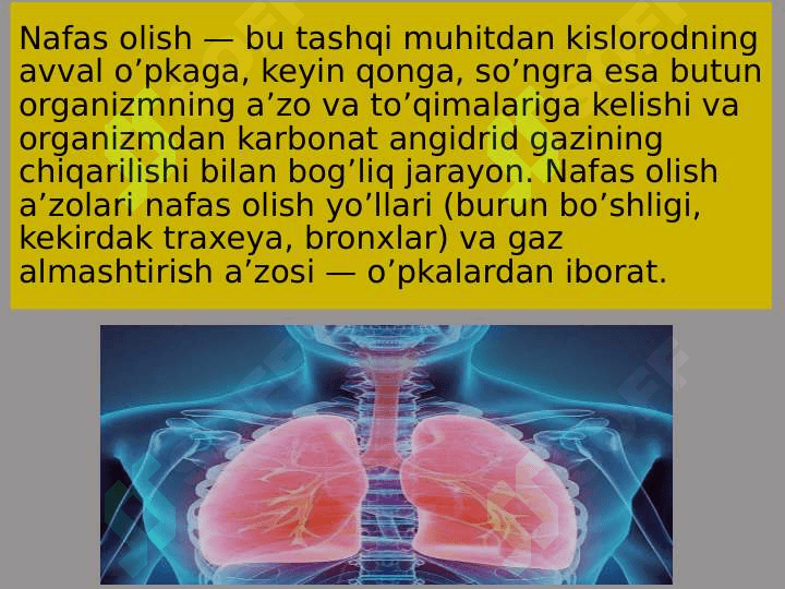 Nafas yoʻllari kasalliklarida bemorlarni parvarishlash 2