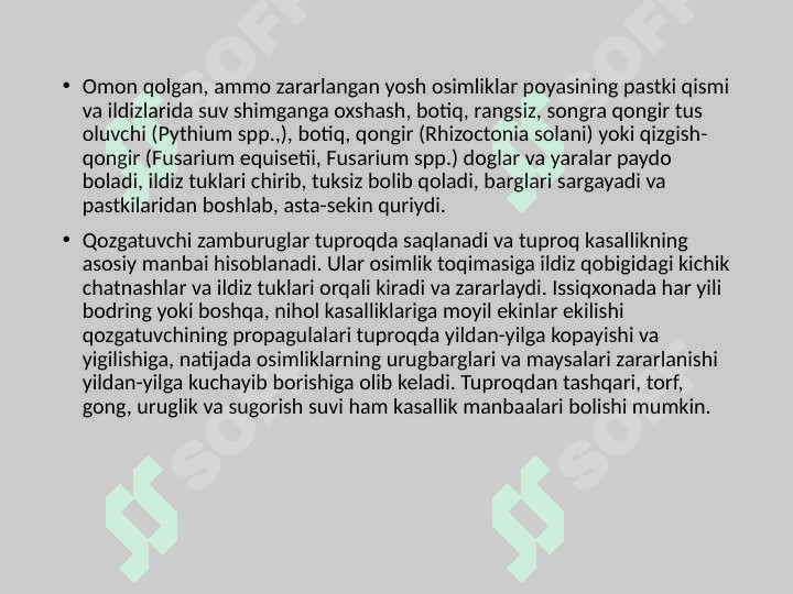 Poliz ekinlari kasalliklari 3