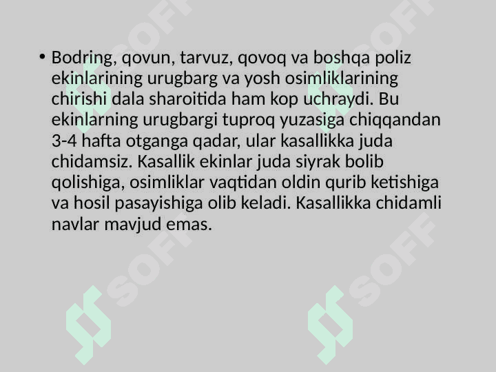 Poliz ekinlari kasalliklari 4