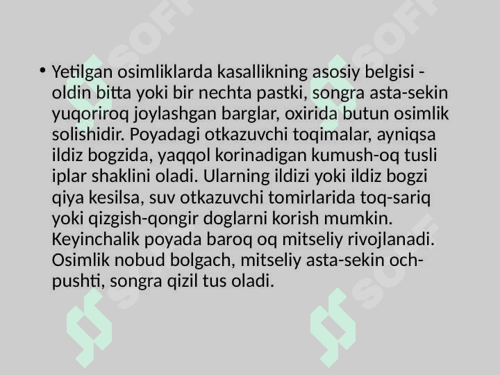 Poliz ekinlari kasalliklari 8