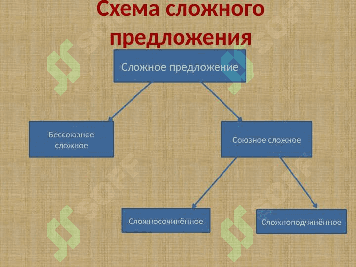 Синтаксис сложного предложения. 5