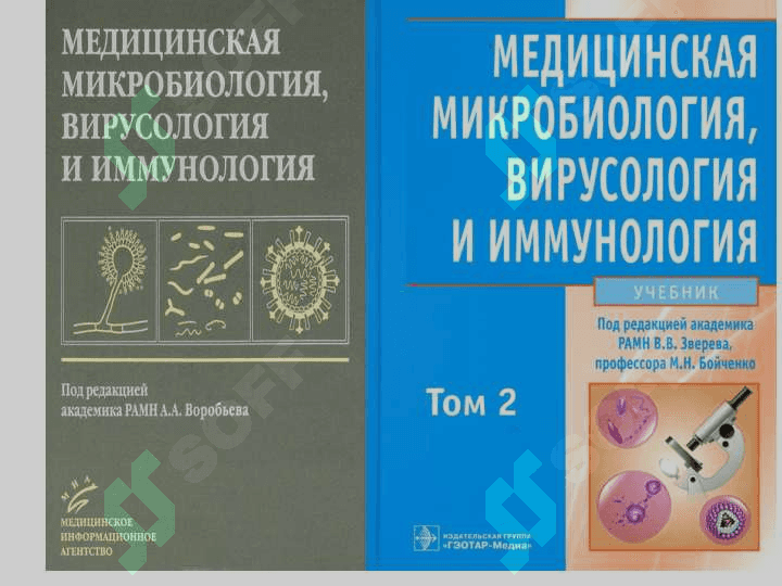 MIKROBIOLOGIYA VIRYSOLOGIYA IMMUNOLOGIYA FANLARINING MAQSADI VAZIFALARI VA RIVOJLANISH TARIXI. MIKROORGANIZMLLAR TASNIFI. MIKROORGANIZMLAR TASNIFI 4