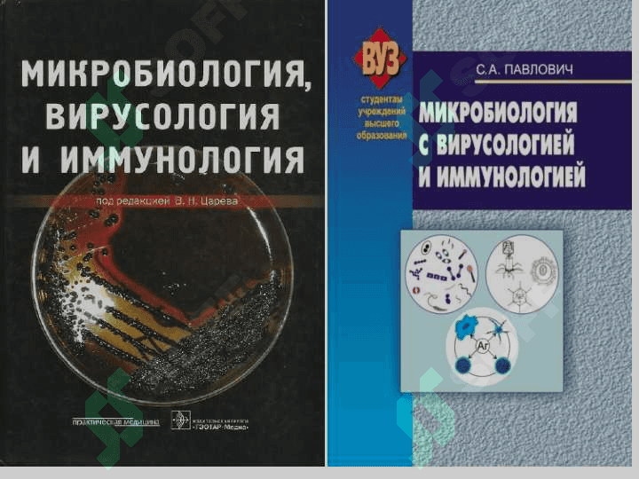 MIKROBIOLOGIYA VIRYSOLOGIYA IMMUNOLOGIYA FANLARINING MAQSADI VAZIFALARI VA RIVOJLANISH TARIXI. MIKROORGANIZMLLAR TASNIFI. MIKROORGANIZMLAR TASNIFI 5