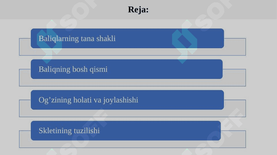 Baliqlarning tana shakli va tashqi tuzilishi pptx 2