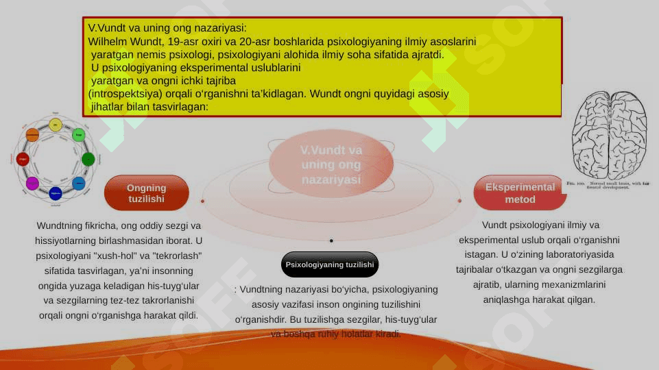 Bolalar psixologiyasi va psixodiognostikasiV.Vundt va Vigotiskiy tomonida oʻrganilgan ong nazariyasini taqqoslash SLAYD 3