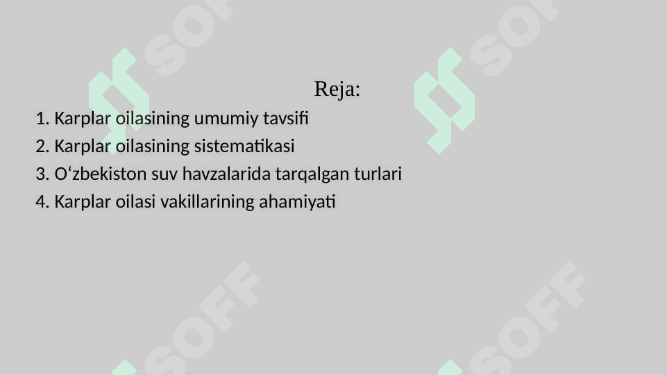 Karplar (Cyprinidae) oilasi tavsifi pptx 2
