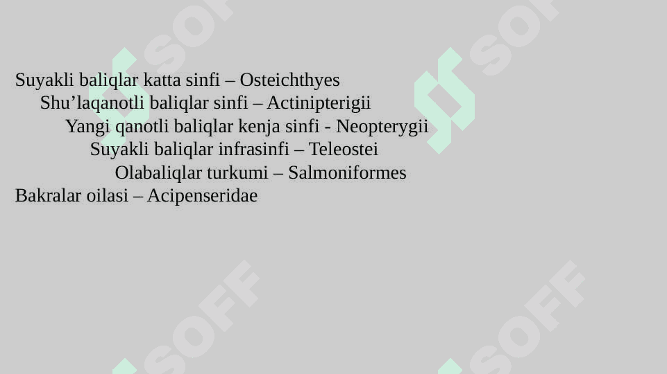 Olabaliqlar oilasi tavsifi pptx 3