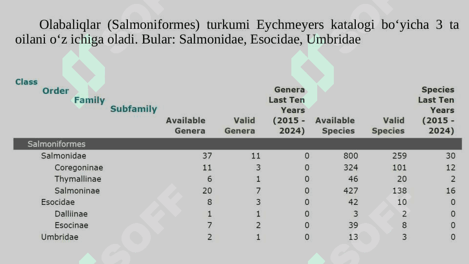 Olabaliqlar oilasi tavsifi pptx 4