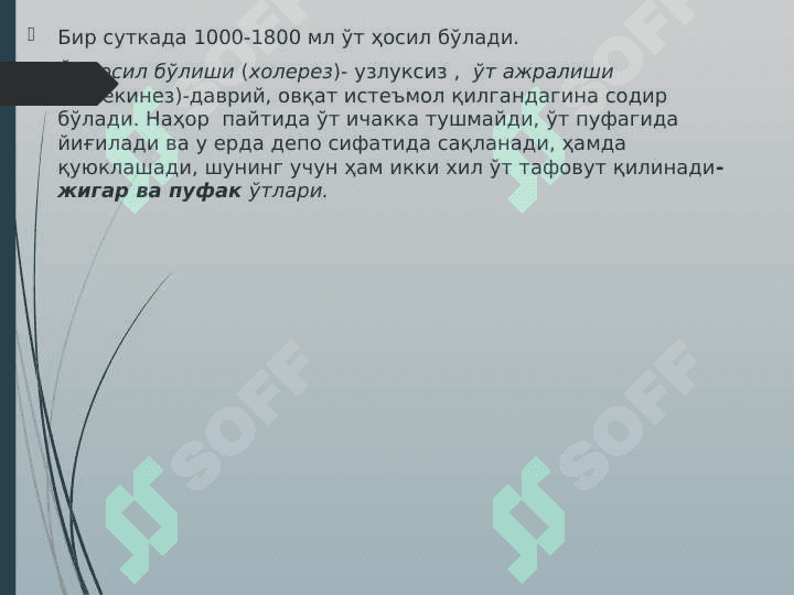 INGICHKA VA YO`G`ON ICHAKDA OVQAT HAZM BO`LISHI 7
