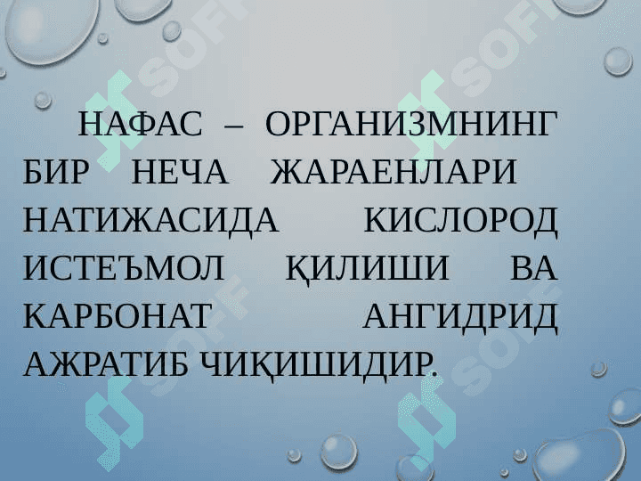 NAFAS TIZIMINING FUNKSIONAL XUSUSIYATLARI 3