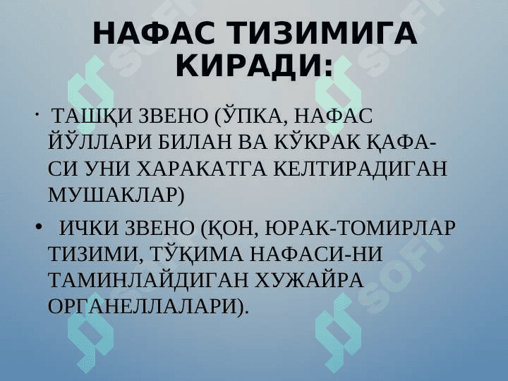 NAFAS TIZIMINING FUNKSIONAL XUSUSIYATLARI 4