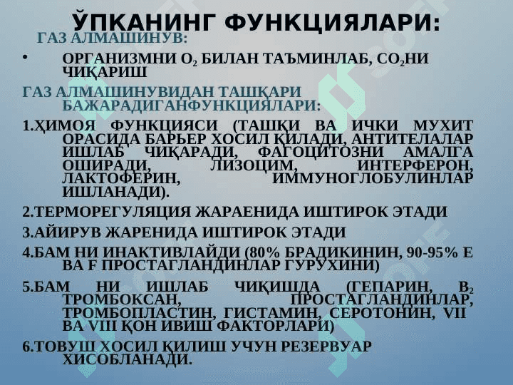 NAFAS TIZIMINING FUNKSIONAL XUSUSIYATLARI 5