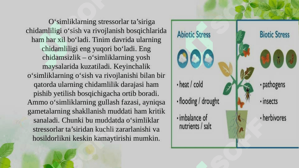 Stress, moslashuv va chidamlilik. O‘simliklar chidamliligining umumiy mexanizmlari 4