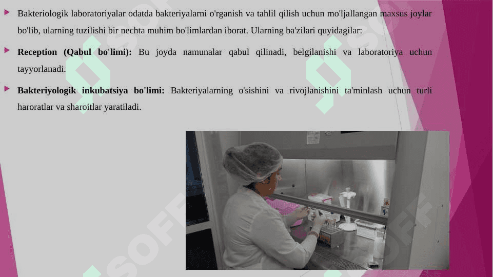 BAKTERIYALOGIK LABORATORIYALAR TUZILISHI 3