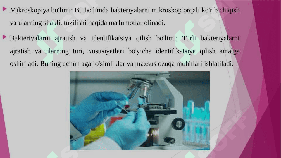 BAKTERIYALOGIK LABORATORIYALAR TUZILISHI 4