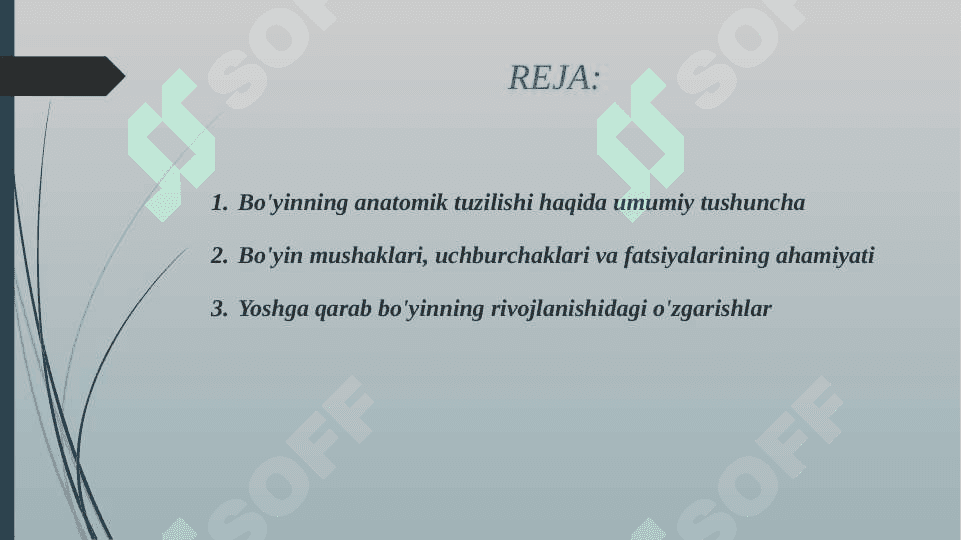 BO'YIN MUSHAKLARI. BO'YIN UCHBURCHAKLARI BO'YIN FATSIYALARI. ULARNING YOSHGA DOIR XUSUSIYATLARI 2