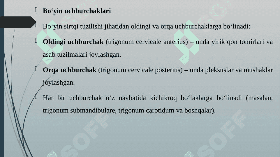 BO'YIN MUSHAKLARI. BO'YIN UCHBURCHAKLARI BO'YIN FATSIYALARI. ULARNING YOSHGA DOIR XUSUSIYATLARI 4