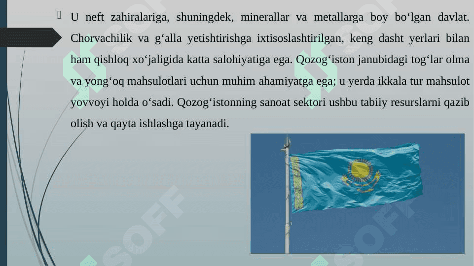 QOZOG'ISTON DAVLATINING ICHKI IQTISODIY RIVOJLANISHI HAMDA INFLATSIYA JARAYONING O'SIB BORISHI 4