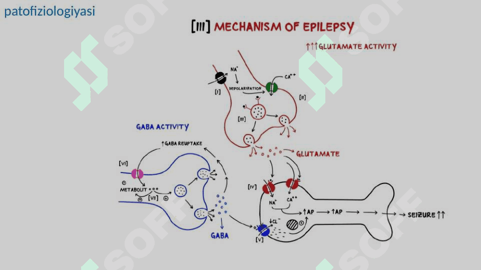 Epilepsiya 7