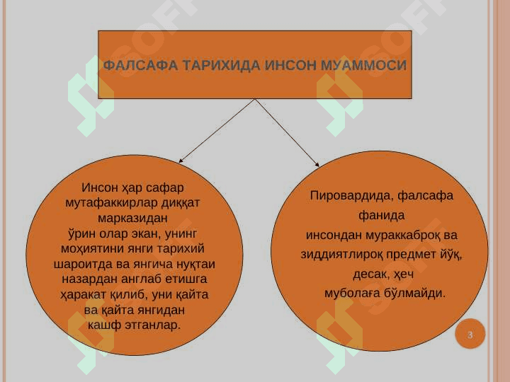 Antropologiya inson haqidagi taʼlimot 3